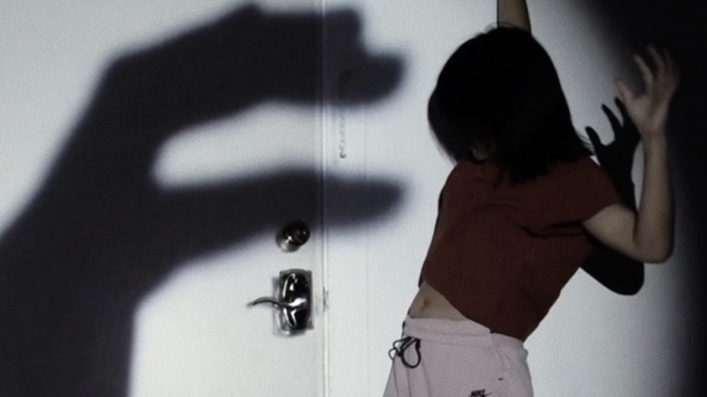 a woman, partially obscured by shadow, dances while a shadow puppet in the foreground fills much of the frame