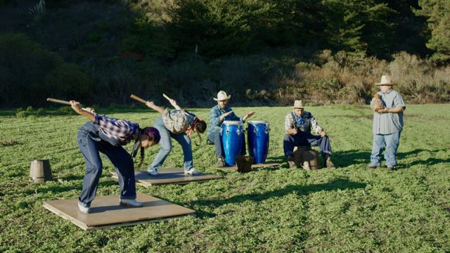 two dancers on tap boards and three percussionists perform in a grassy field in bright daylight