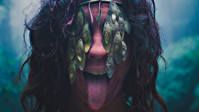 a closeup of a long-haired person's face with elaborate jewelry covering both their eyes