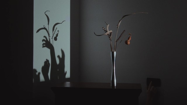 a tall, skinny vase with interesting objects casts its shadow on the wall behind it