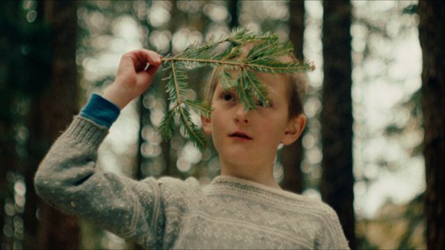 a young light skinned girl holds an evergreen branch close to her face