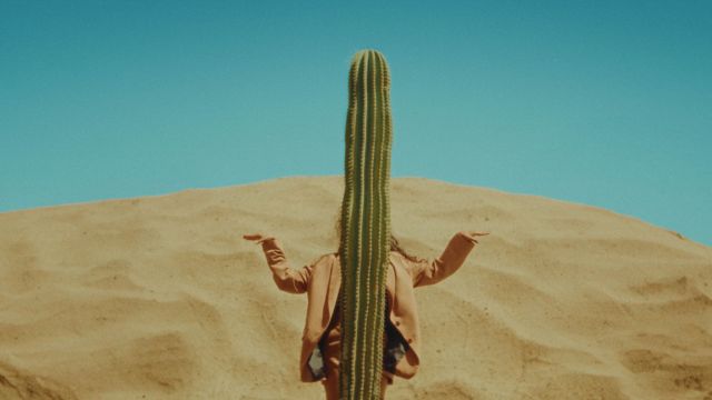 a tall skinny cactus bifurcates the frame; behind it is a large mound of sand and a dancer's arms extending out from behind