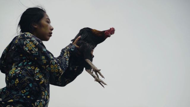 with a gray sky in the background, a young Asian woman holds a live rooster out in front of her