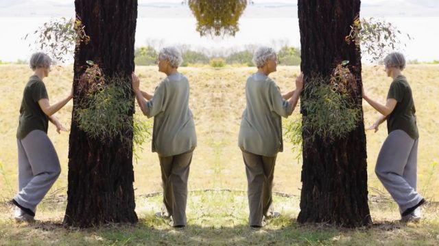 a horizontally mirrored image of two grey haired women circling a large tree on opposite sides of the trunk
